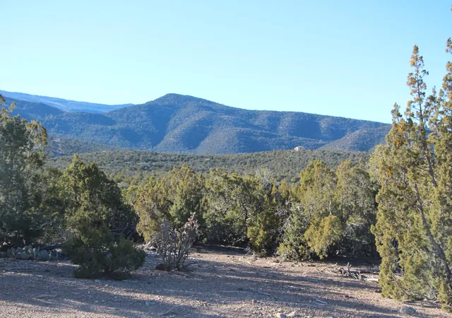 Homes for sale in Sandia Park, NM | 00 La Vista Grande, Sandia Park, NM 87047 | MLS# 1071390
