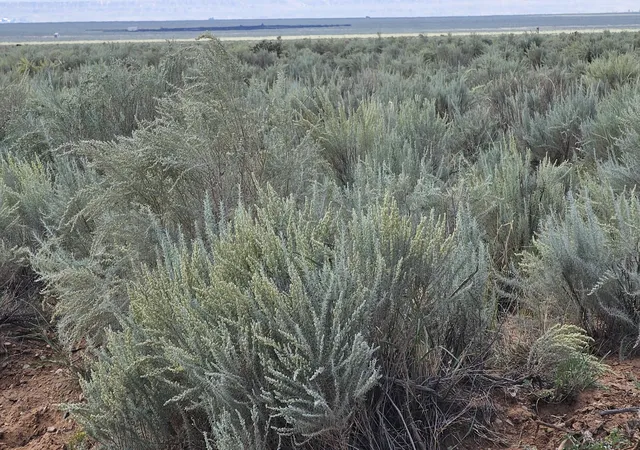 1st image of Vl Lots 16,17,18,19 Block 377 #17, Rio Communities, NM 87002 | MLS# 1071673