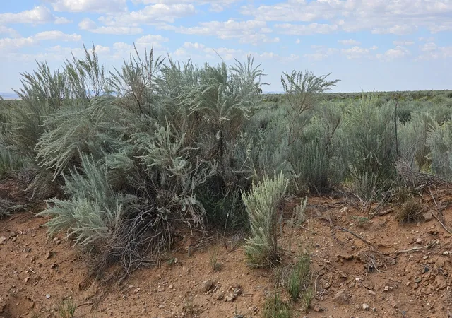 2nd image of Vl Lots 16,17,18,19 Block 377 #17, Rio Communities, NM 87002 | MLS# 1071673