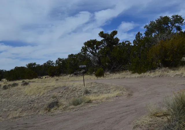 Homes for sale in Pie Town, NM | 618 Nm 603, Pie Town, NM 87827 | MLS# 1072460