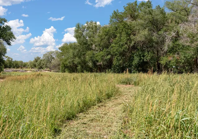 2nd image of 0 Wallace Ln, Corrales, NM 87048 | MLS# 1072617