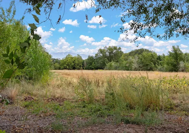 4th image of 0 Wallace Ln, Corrales, NM 87048 | MLS# 1072617