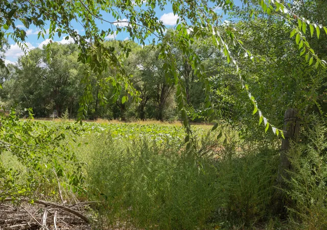 5th image of 0 Wallace Ln, Corrales, NM 87048 | MLS# 1072617