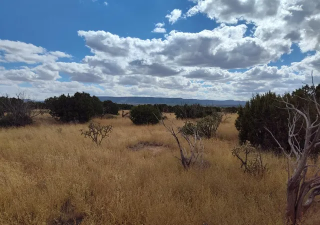 Photo 4 of Land for sale at Golf Crse Rd, Mountainair, NM 87036 | MLS# 1073240 | Listing updated on 2026-07-21