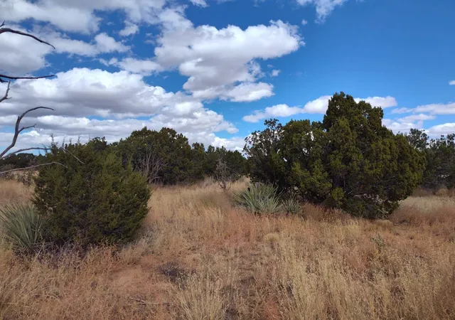 Photo 5 of Land for sale at Golf Crse Rd, Mountainair, NM 87036 | MLS# 1073240 | Listing updated on 2026-07-21