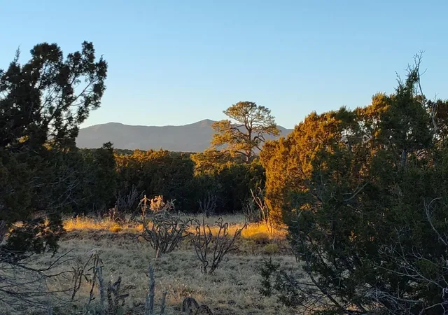 Homes for sale in Mountainair, NM | Road Runner Road, Mountainair, NM 87036 | MLS# 1074136