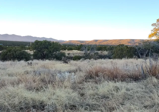Homes for sale in Mountainair, NM | Road Runner Road, Mountainair, NM 87036 | MLS# 1074136