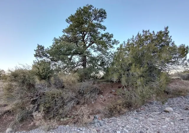 Homes for sale in Mountainair, NM | Road Runner Road, Mountainair, NM 87036 | MLS# 1074136