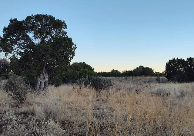 Homes for sale in Mountainair, NM | Road Runner Road, Mountainair, NM 87036 | MLS# 1074136