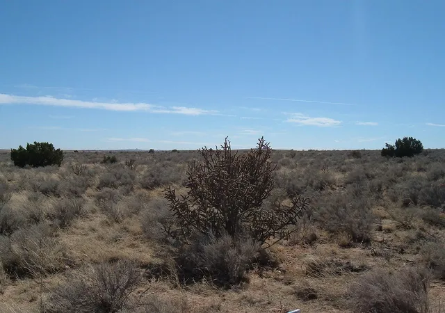 Photo 4 of Land for sale at 0 Natalie (four Lots) Rd NE, Albuquerque, NM 87110 | MLS# 1074145 | Listing updated on 2026-07-21