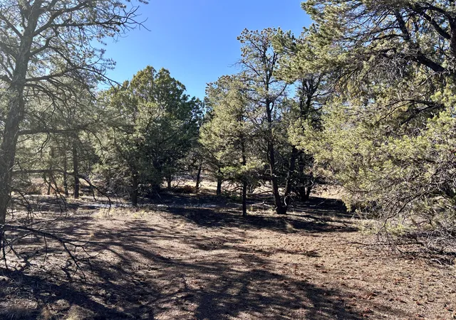 Homes for sale in Datil, NM | Lot 163 Windmill Dr Dr, Datil, NM 87821 | MLS# 1074249