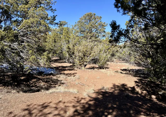 Homes for sale in Datil, NM | Lot 163 Windmill Dr Dr, Datil, NM 87821 | MLS# 1074249