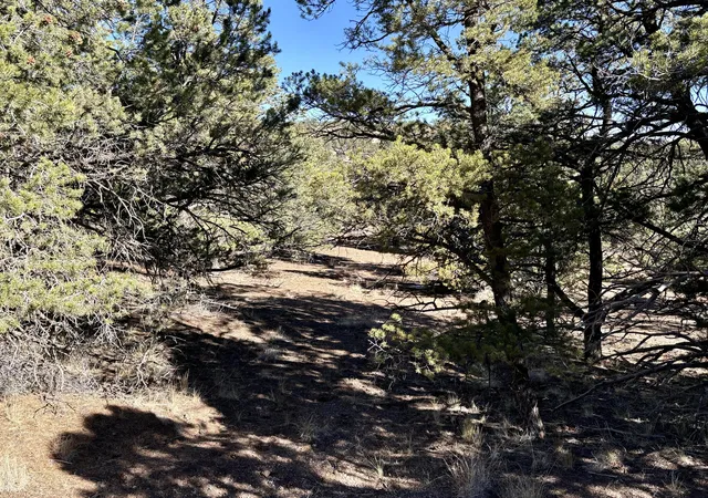 Homes for sale in Datil, NM | Lot 163 Windmill Dr Dr, Datil, NM 87821 | MLS# 1074249