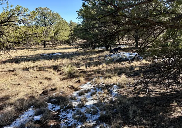 Homes for sale in Datil, NM | Lot 163 Windmill Dr Dr, Datil, NM 87821 | MLS# 1074249