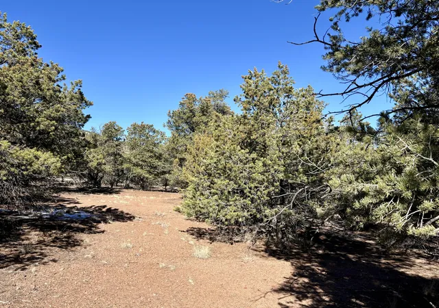 Homes for sale in Datil, NM | Lot 163 Windmill Dr Dr, Datil, NM 87821 | MLS# 1074249