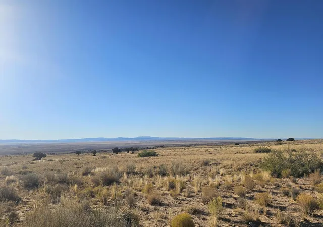 Homes for sale in Magdalena, NM | Vl West Belen Land Grant Lot 15, Magdalena, NM 87825 | MLS# 1074423