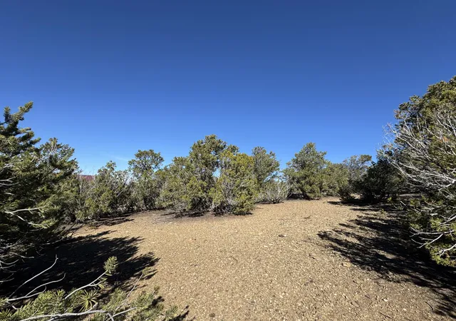 4th image of Tract 4 Verde Road, Taos, NM 87571 | MLS# 1074726