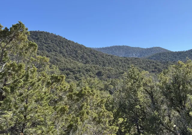 5th image of Tract 4 Verde Road, Taos, NM 87571 | MLS# 1074726