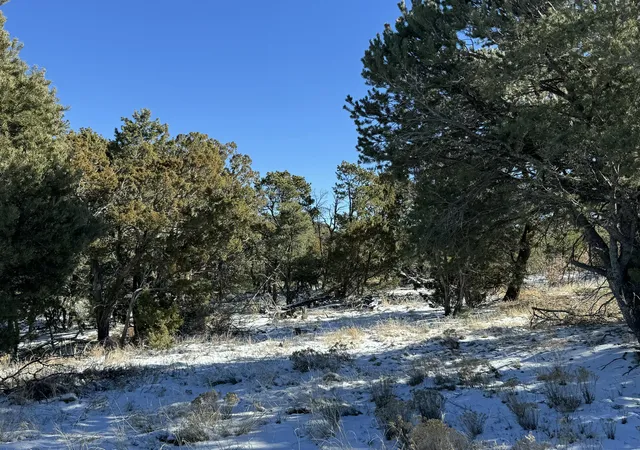Photo 4 of Land for sale at Lot 2 Bolivar Lp Loop, Tijeras, NM 87059 | MLS# 1076305 | Listing updated on 2026-07-21