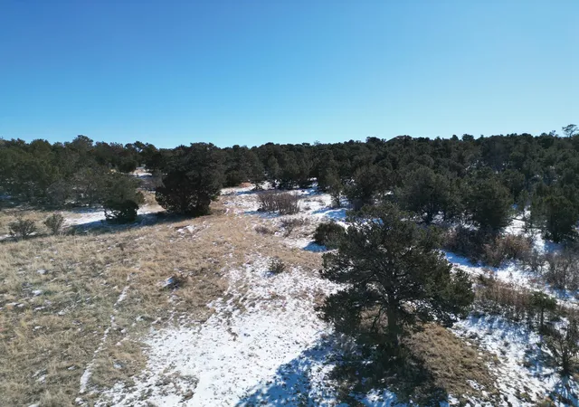 Photo 13 of Land for sale at 21 Punch Ct, Tijeras, NM 87059 | MLS# 1076545 | Listing updated on 2026-07-21