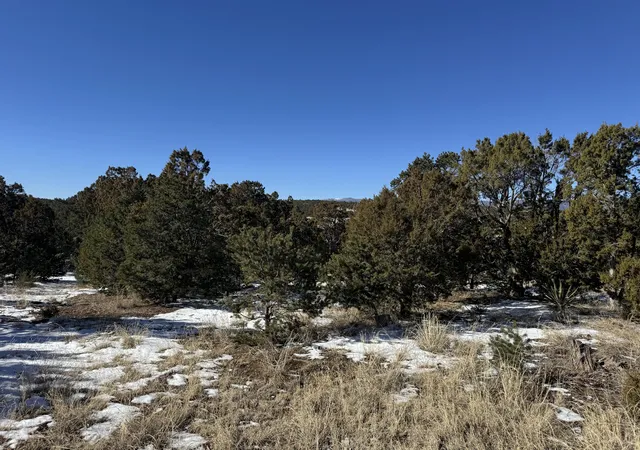 Photo 1 of Land for sale at 21 Punch Ct, Tijeras, NM 87059 | MLS# 1076545 | Listing updated on 2026-07-21