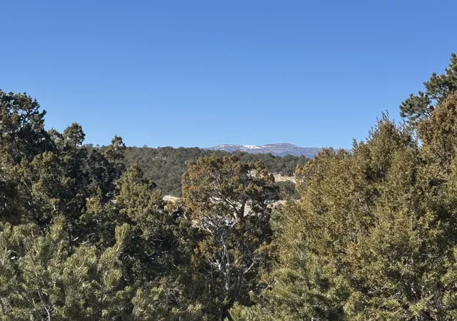 Photo 2 of Land for sale at 21 Punch Ct, Tijeras, NM 87059 | MLS# 1076545 | Listing updated on 2026-07-21