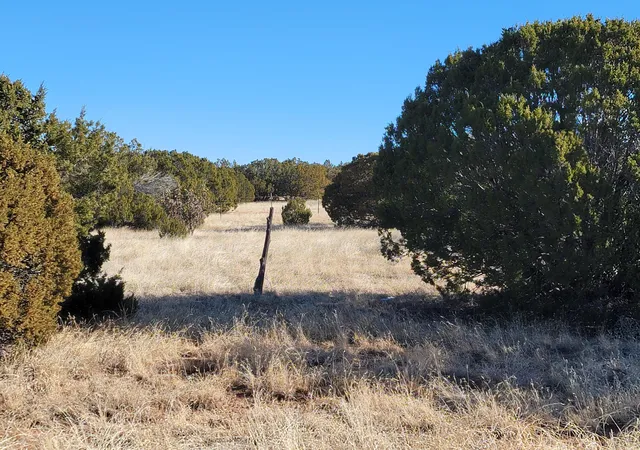Photo 3 of Land for sale at 43 Bullock Rd, Moriarty, NM 87035 | MLS# 1076778 | Listing updated on 2026-07-21