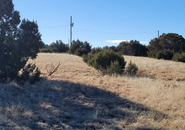 Photo 3 of Land for sale at 43 Bullock Rd, Moriarty, NM 87035 | MLS# 1076778 | Listing updated on 2026-07-21