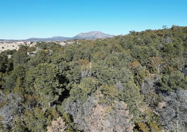 Photo 2 of Land for sale at 31 Punch Ct, Tijeras, NM 87059 | MLS# 1076907 | Listing updated on 2026-07-21