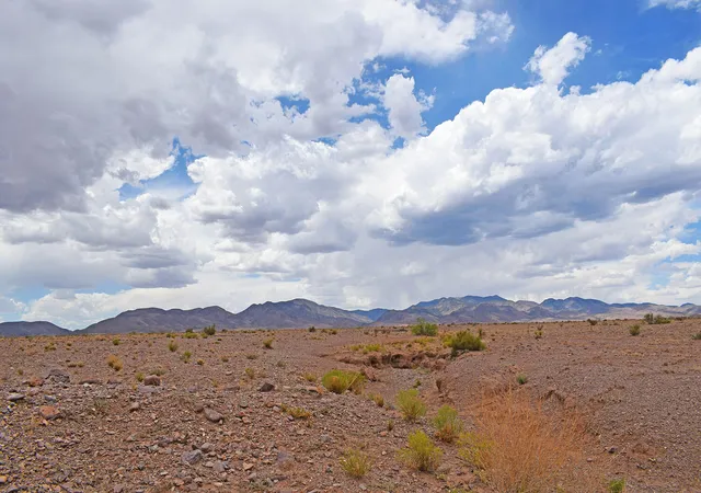 57th image of Lot 326 Desert Mesa Rd, San Antonio, NM 87832 | MLS# 1078335