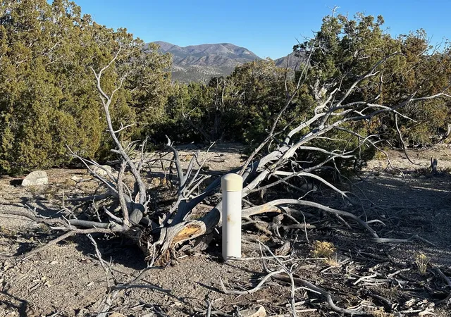 Photo 2 of Land for sale at 26 La Cantera, Sandia Park, NM 87047 | MLS# 1079204 | Listing updated on 2026-08-18