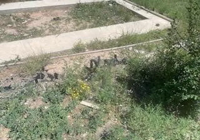 Photo 3 of Land for sale at 3 Mardan Ln, Moriarty, NM 87035 | MLS# 1080028 | Listing updated on 2026-07-22
