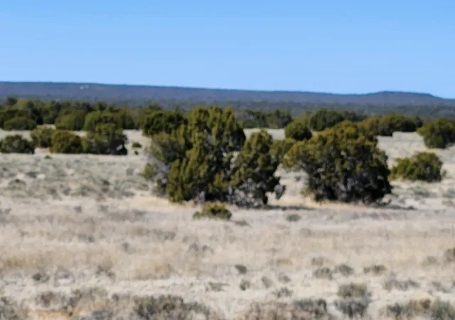 Homes for sale in Fence Lake, NM | Lot 18 Skyview Ranch #18, Fence Lake, NM 87315 | MLS# 1080297