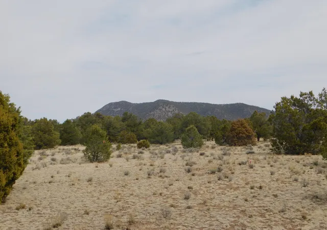 Homes for sale in Quemado, NM | Gila Dr, Quemado, NM 87829 | MLS# 1080840