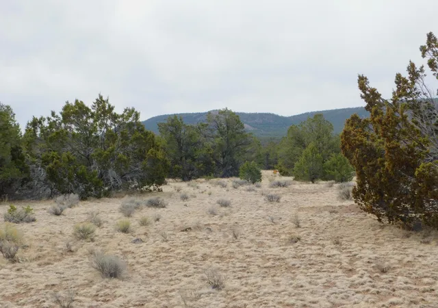 Homes for sale in Quemado, NM | Gila Dr, Quemado, NM 87829 | MLS# 1080840