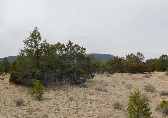 Homes for sale in Quemado, NM | Gila Dr, Quemado, NM 87829 | MLS# 1080840