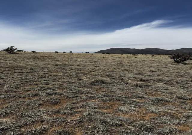 15th image of A 4 Camino Sol Y Paz, Stanley, NM 87056 | MLS# 1081633