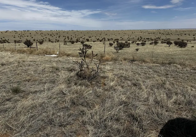 4th image of A-4 Camino Sol Y Paz, Stanley, NM 87056 | MLS# 1081633