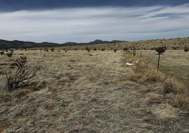 5th image of A-4 Camino Sol Y Paz, Stanley, NM 87056 | MLS# 1081633