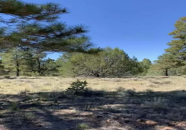 Homes for sale in Grants, NM | 0 Cerro Leonides Rd, Grants, NM 87020 | MLS# 1081824