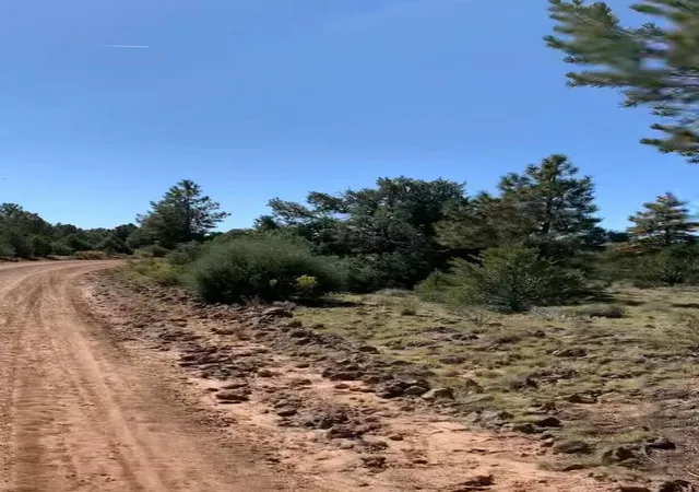 Homes for sale in Grants, NM | 0 Cerro Leonides Rd, Grants, NM 87020 | MLS# 1081824