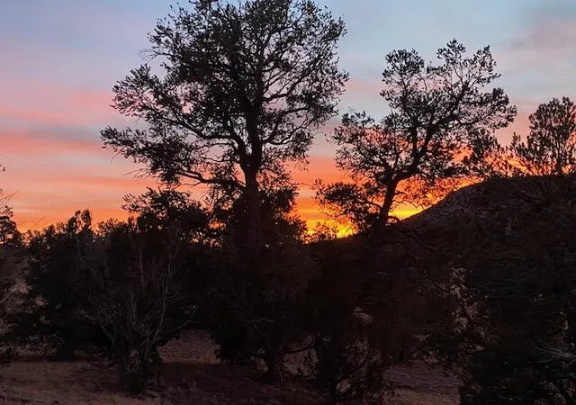 46th image of 233 Turquoise Trl, Datil, NM 87821 | MLS# 1082070