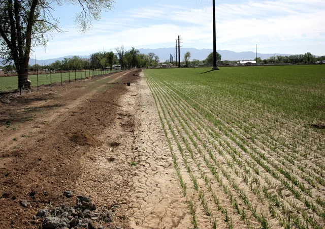 Photo 4 of Land for sale at 33 Pueblitos Rd, Belen, NM 87002 | MLS# 1082463 | Listing updated on 2026-09-28