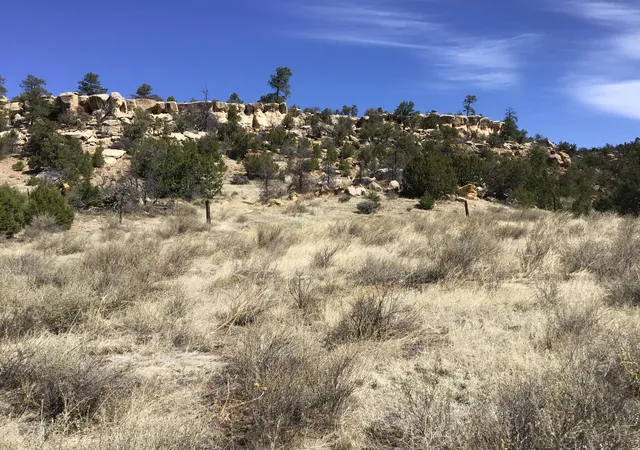 Homes for sale in Ramah, NM | 3239 Hwy 53, Ramah, NM 87321 | MLS# 1082955