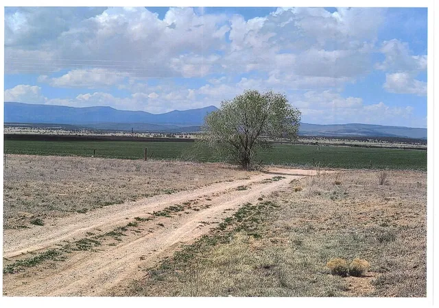 Photo 1 of Land for sale at 211 Sam Frd Dr, Mc Intosh, NM 87032 | MLS# 1083026 | Listing updated on 2026-07-22
