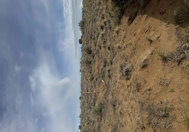 6th image of 8213 Margarita Dr, Albuquerque, NM 87120 | MLS# 1083370