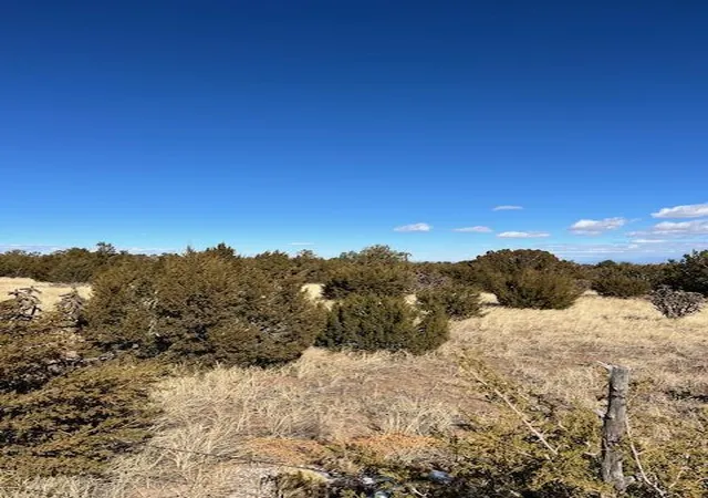 Photo 4 of Land for sale at Kings Meadow Rd, Sandia Park, NM 87047 | MLS# 1083781 | Listing updated on 2026-05-27
