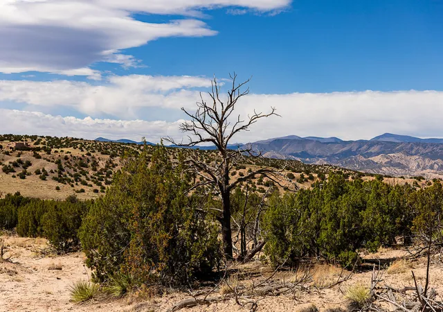 Photo 5 of Land for sale at 00 El Rito Ests, Abiquiu, NM 87510 | MLS# 1084110 | Listing updated on 2026-07-21