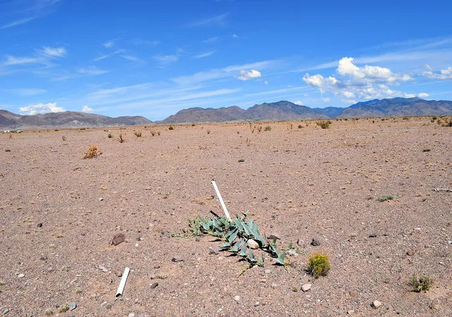 Photo 3 of Land for sale at 4 Lots Rolling Hills, San Antonio, NM 87832 | MLS# 1084507 | Listing updated on 2026-07-22