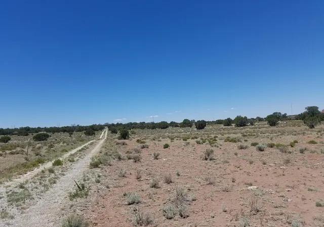 Homes for sale in Thoreau, NM | Tbd Nm 612, Thoreau, NM 87323 | MLS# 1084644
